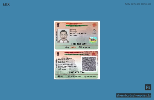 Vorschau einer Beispiel-PVC-Karte für Indien (Aadhaar)